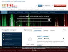 Tablet Screenshot of netpiko.com